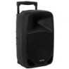 Altavoz portable con bluetooth fonestar malibu-310/ 100w